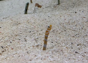 こころの写メ日記｜トリプルA 横浜高級店ソープ