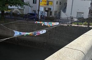 こころの写メ日記｜トリプルA 横浜高級店ソープ
