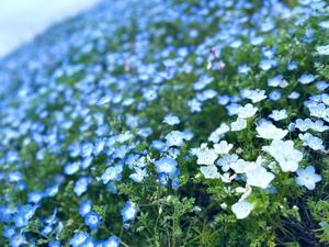 あやの写メ日記｜アクアマリン 吉原格安店ソープ