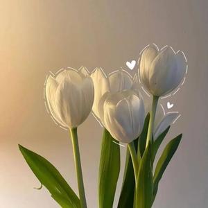 つゆの写メ日記｜アクアマリン 吉原格安店ソープ