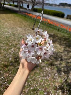 みおの写メ日記｜アクアマリン 吉原格安店ソープ