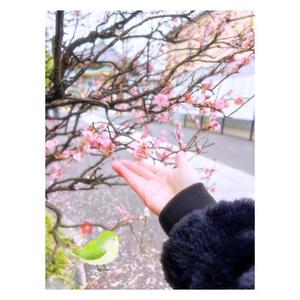 ほほの写メ日記｜ビッグマン 吉原大衆店ソープ