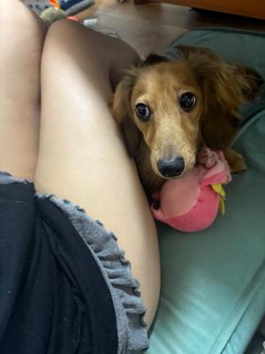 かなたの写メ日記｜ビッグマン 吉原大衆店ソープ