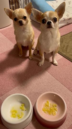 あやのの写メ日記｜ビッグマン 吉原大衆店ソープ