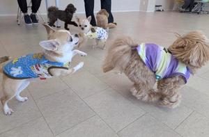 あやのの写メ日記｜ビッグマン 吉原大衆店ソープ