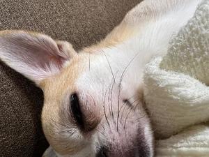 あやのの写メ日記｜ビッグマン 吉原大衆店ソープ