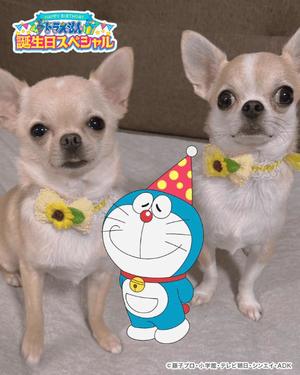 あやのの写メ日記｜ビッグマン 吉原大衆店ソープ