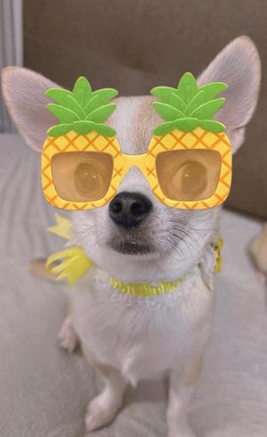 あやのの写メ日記｜ビッグマン 吉原大衆店ソープ