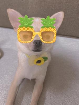 あやのの写メ日記｜ビッグマン 吉原大衆店ソープ