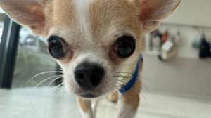 あやのの写メ日記|ビッグマン 吉原大衆店ソープ