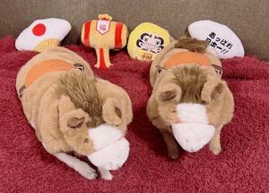 あやのの写メ日記｜ビッグマン 吉原大衆店ソープ