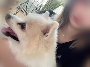 なおの写メ日記｜ビッグマン 吉原大衆店ソープ