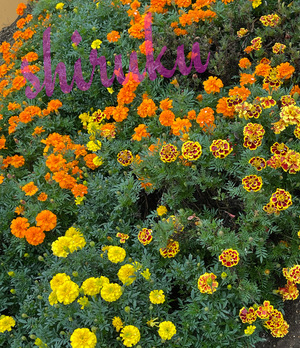 シルクの写メ日記｜シーザースパレス 吉原大衆店ソープ