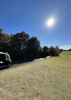 シルクの写メ日記｜シーザースパレス 吉原大衆店ソープ