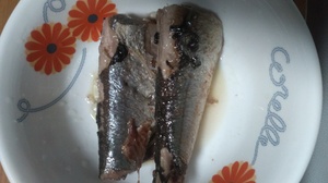 まいの写メ日記｜シーザースパレス 吉原大衆店ソープ