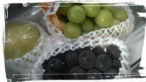 まいの写メ日記｜シーザースパレス 吉原大衆店ソープ