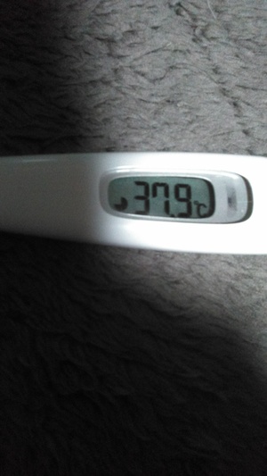 まいの写メ日記｜シーザースパレス 吉原大衆店ソープ