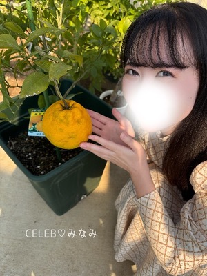 Minamiの写メ日記｜セレブ 吉原高級店ソープ