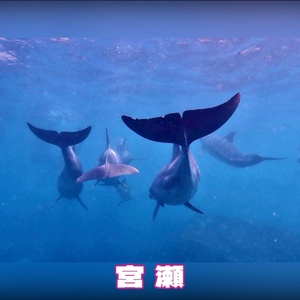 宮瀬えりかの写メ日記｜シャトーペトラ 吉原大衆店ソープ