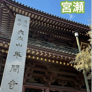 宮瀬えりかの写メ日記｜シャトーペトラ 吉原大衆店ソープ