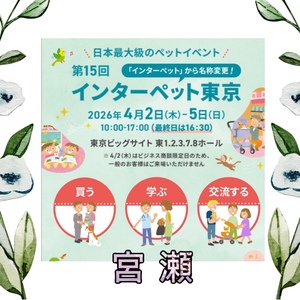 宮瀬えりかの写メ日記｜シャトーペトラ 吉原大衆店ソープ