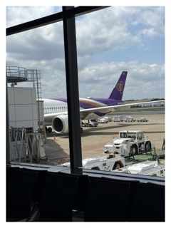 杏樹の写メ日記｜シャトーペトラ 吉原大衆店ソープ