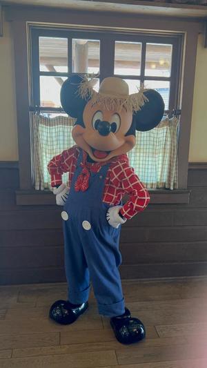 りりこの写メ日記｜シャトーペトラ 吉原大衆店ソープ