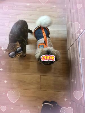 黒木の写メ日記｜シャトーペトラ 吉原大衆店ソープ