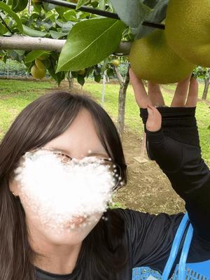 美花の写メ日記｜シャトーペトラ 吉原大衆店ソープ