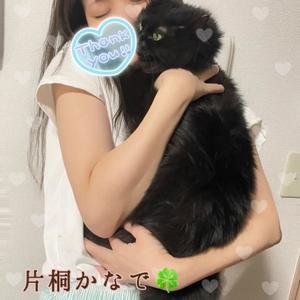 片桐かなでの写メ日記｜シャトーペトラ 吉原大衆店ソープ