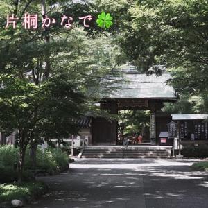 片桐かなでの写メ日記｜シャトーペトラ 吉原大衆店ソープ