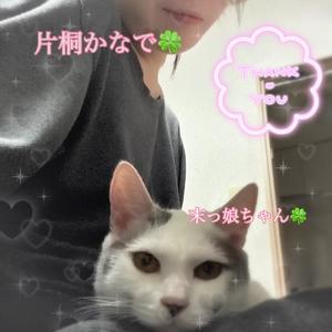 片桐かなでの写メ日記｜シャトーペトラ 吉原大衆店ソープ