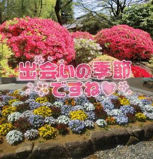 柚葉の写メ日記｜シャトーペトラ 吉原大衆店ソープ