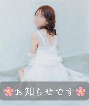 桜井の写メ日記｜シャトーペトラ 吉原大衆店ソープ