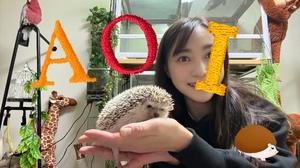 葵の写メ日記｜シャトーペトラ 吉原大衆店ソープ