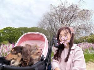 葵の写メ日記｜シャトーペトラ 吉原大衆店ソープ