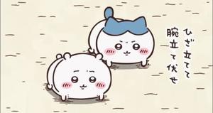 舞の写メ日記｜シャトーペトラ 吉原大衆店ソープ