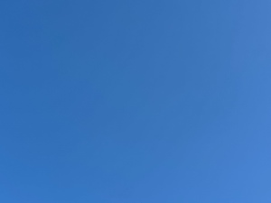 瀬戸マリ子の写メ日記｜シャトーペトラ 吉原大衆店ソープ