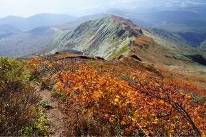 瀬戸マリ子の写メ日記｜シャトーペトラ 吉原大衆店ソープ