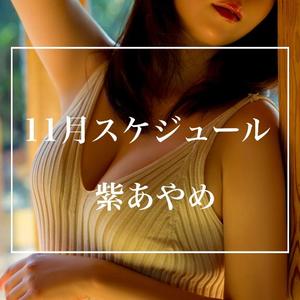 紫 あやめの写メ日記｜シャトーペトラ 吉原大衆店ソープ