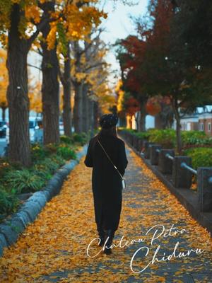 ちづるの写メ日記｜シャトーペトラ 吉原大衆店ソープ