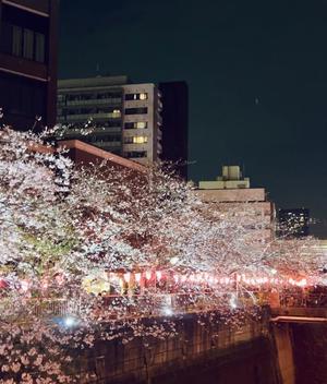 大原の写メ日記|シャトーペトラ 吉原大衆店ソープ