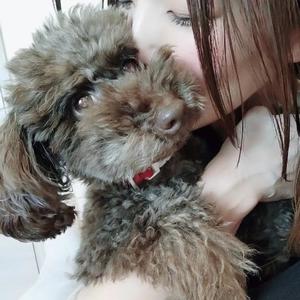 青山せりの写メ日記｜シャトーペトラ 吉原大衆店ソープ