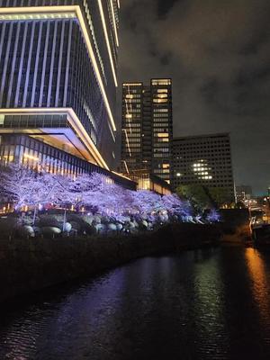 青山せりの写メ日記｜シャトーペトラ 吉原大衆店ソープ