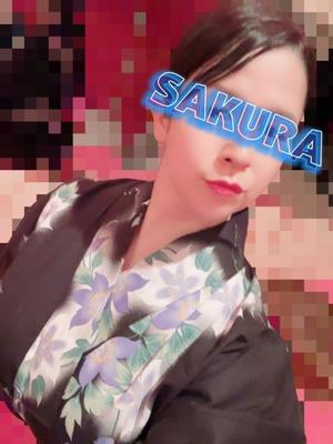 結城さくらの写メ日記｜シャトーペトラ 吉原大衆店ソープ