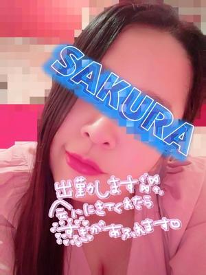 結城さくらの写メ日記｜シャトーペトラ 吉原大衆店ソープ