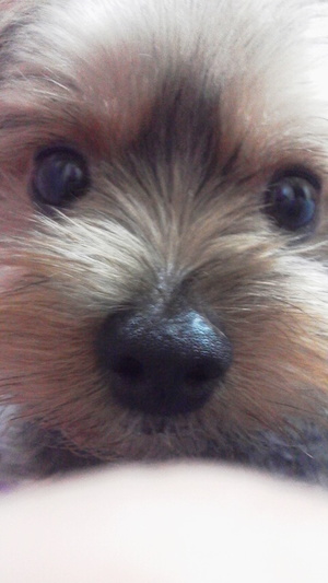 彩の写メ日記｜シャトーペトラ 吉原大衆店ソープ