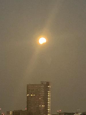 進藤の写メ日記｜シャトーペトラ 吉原大衆店ソープ