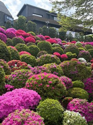 進藤の写メ日記｜シャトーペトラ 吉原大衆店ソープ