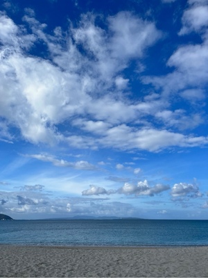 ふじのの写メ日記｜シャトーペトラ 吉原大衆店ソープ